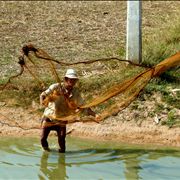 Picture Of Asian Fischer And Fishing Net