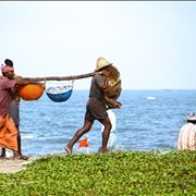 Picture Of Baskets Of Fish