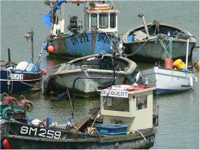 Picture Of Commercial Fishing