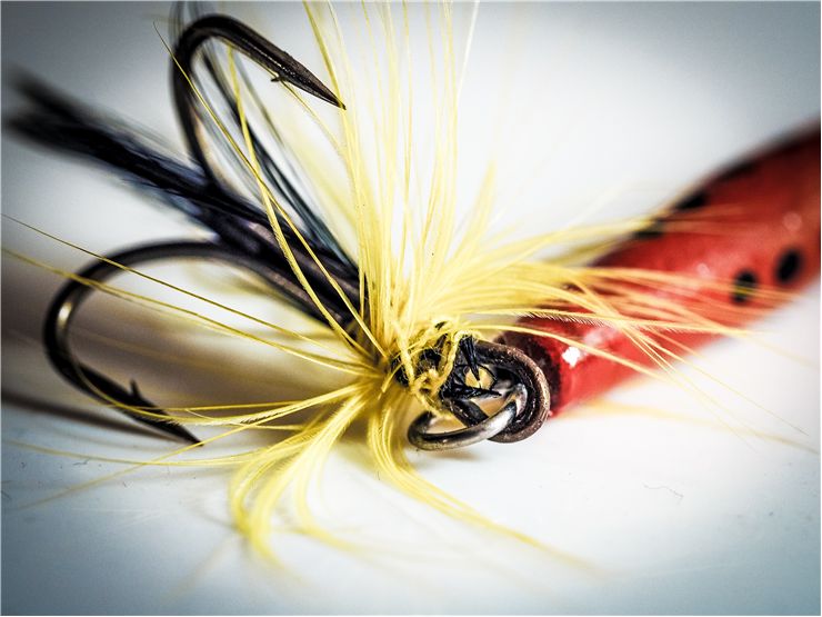 Picture Of Fischer Leisure Hook