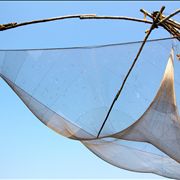 Picture Of Fischer Port