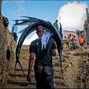 Picture Of Fish Market Selling Fish