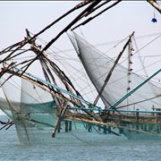 Picture Of Fishing At Fischer Port