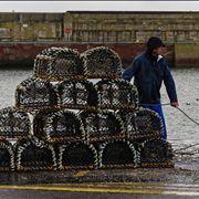 Picture Of Fishing Creels