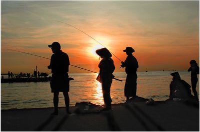 Picture Of Fishing Dusk