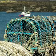 Picture Of Fishing Normandy Chausey Islands