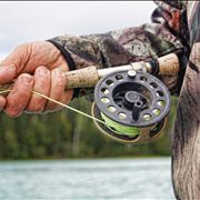 Picture Of Fishing Reel Rod