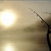 Picture Of Fishing Summer